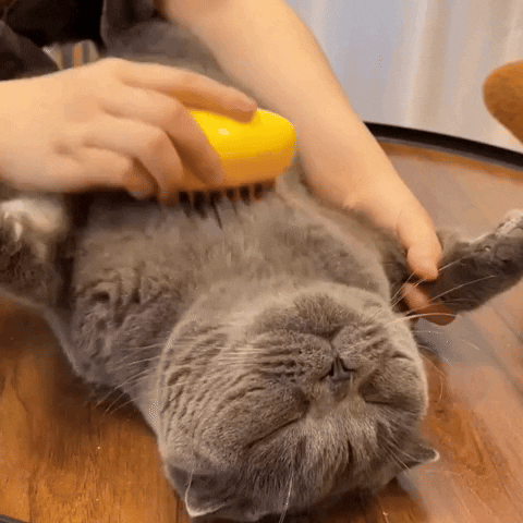 FurMagic Pet Steamer Brush